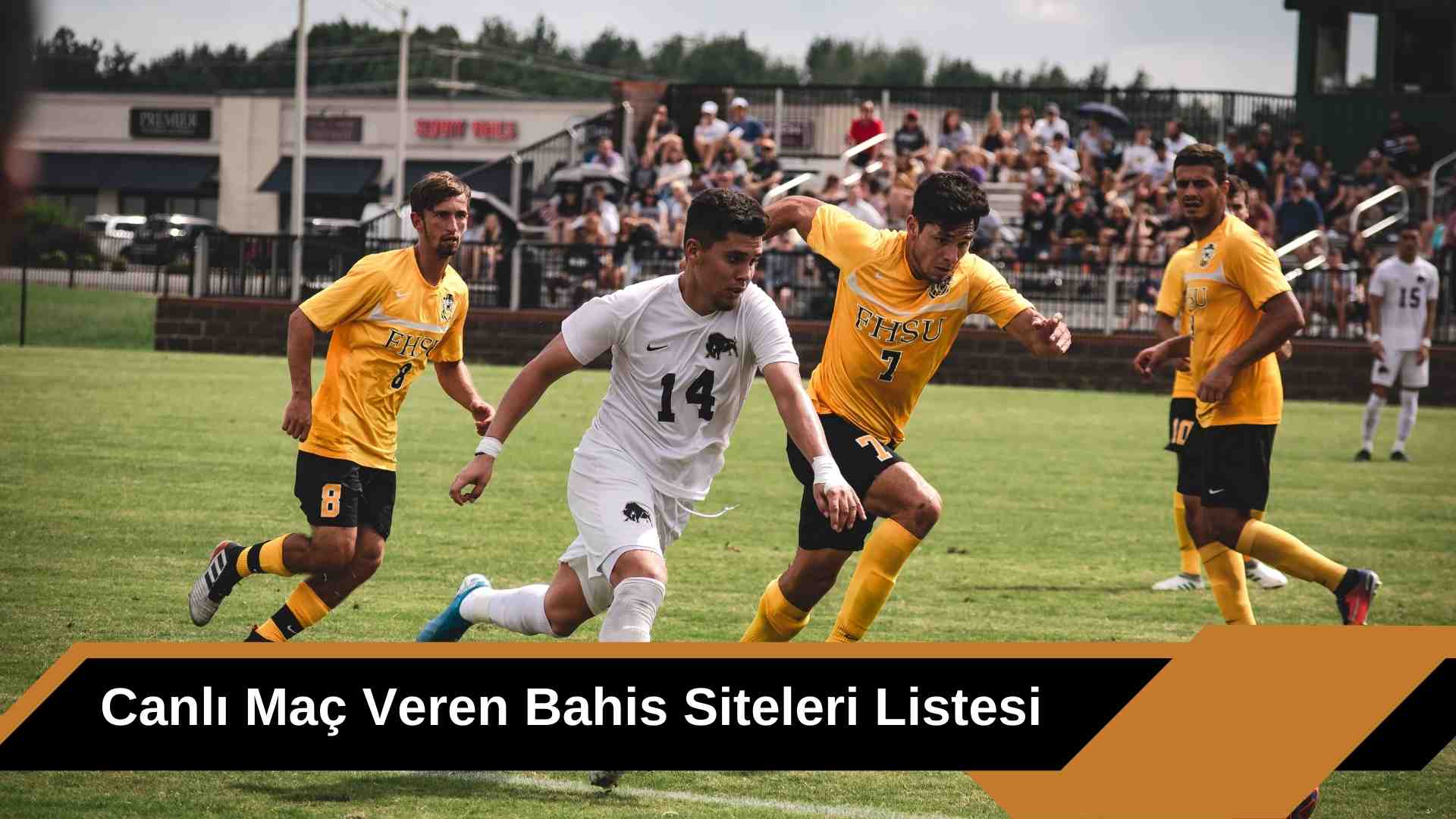 Canlı Maç Veren Bahis Siteleri Listesi