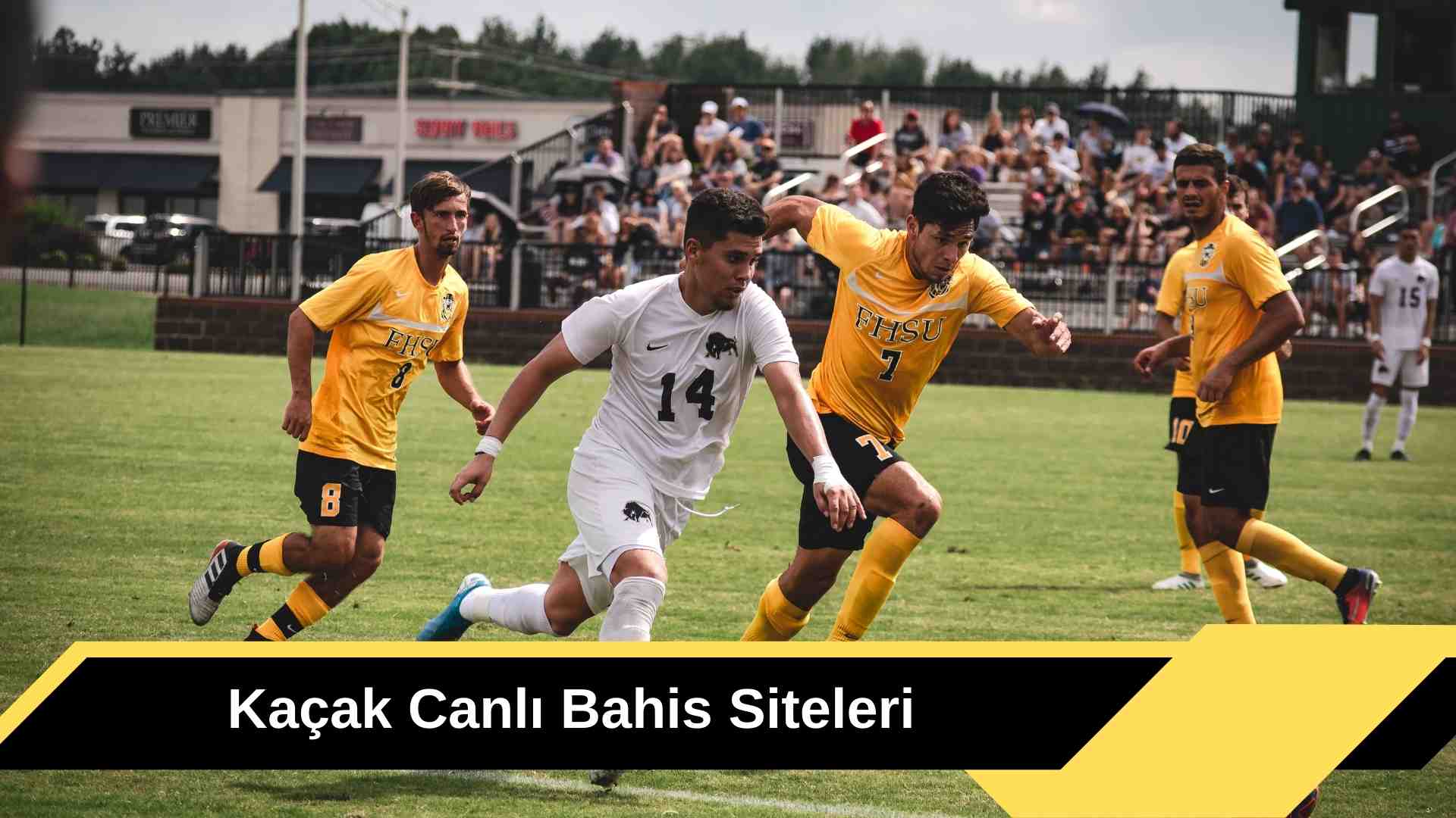 Kaçak Canlı Bahis Siteleri